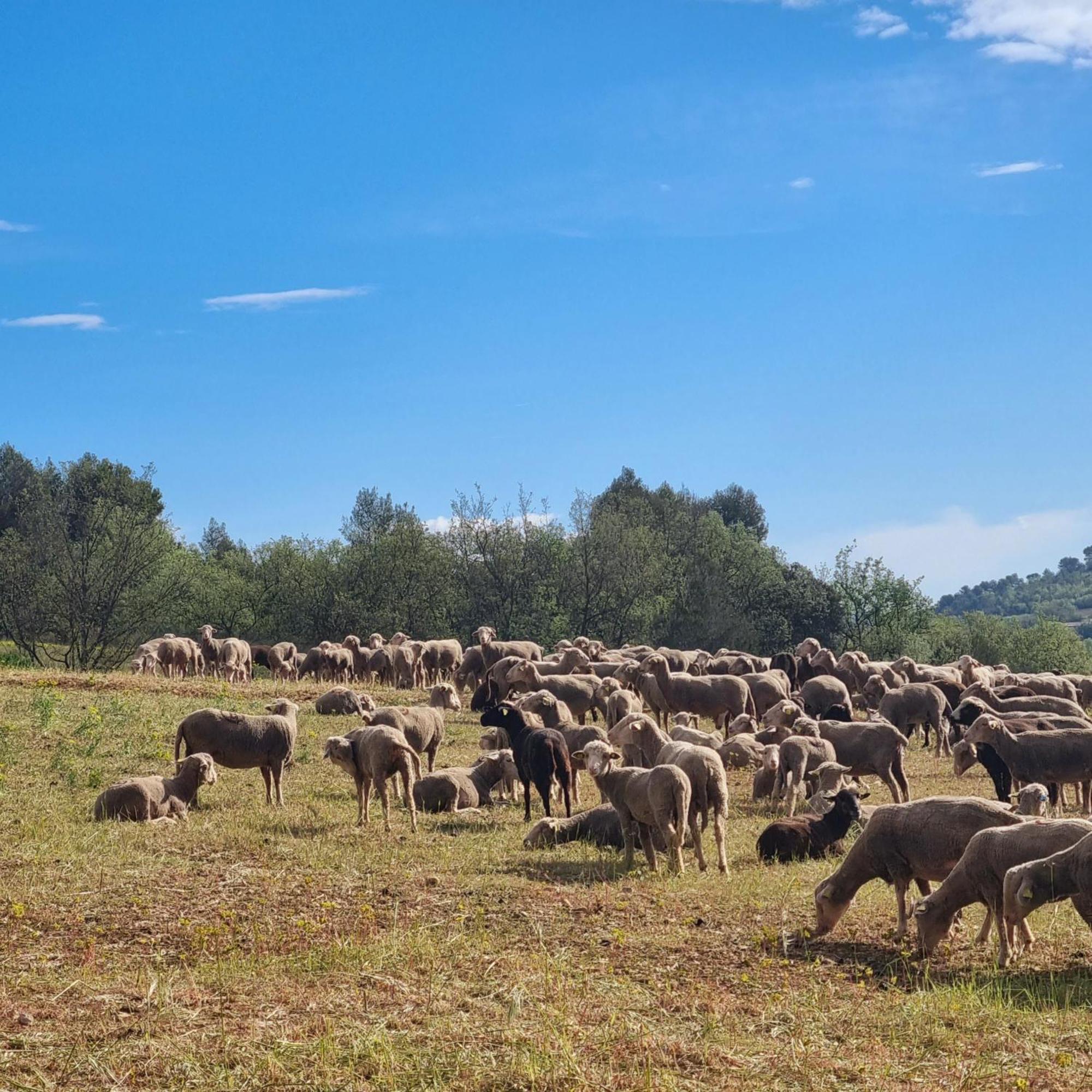 L'Oustaou du Luberon et SPA Villelaure Extérieur photo