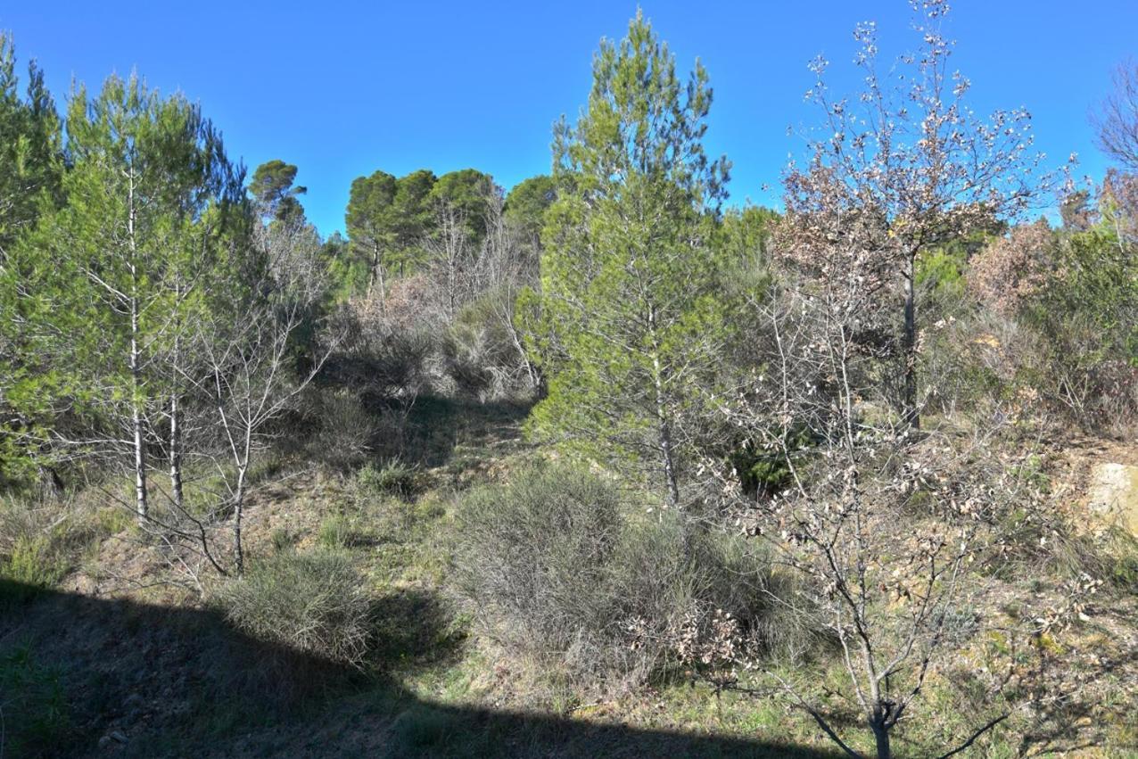 L'Oustaou du Luberon et SPA Villelaure Extérieur photo