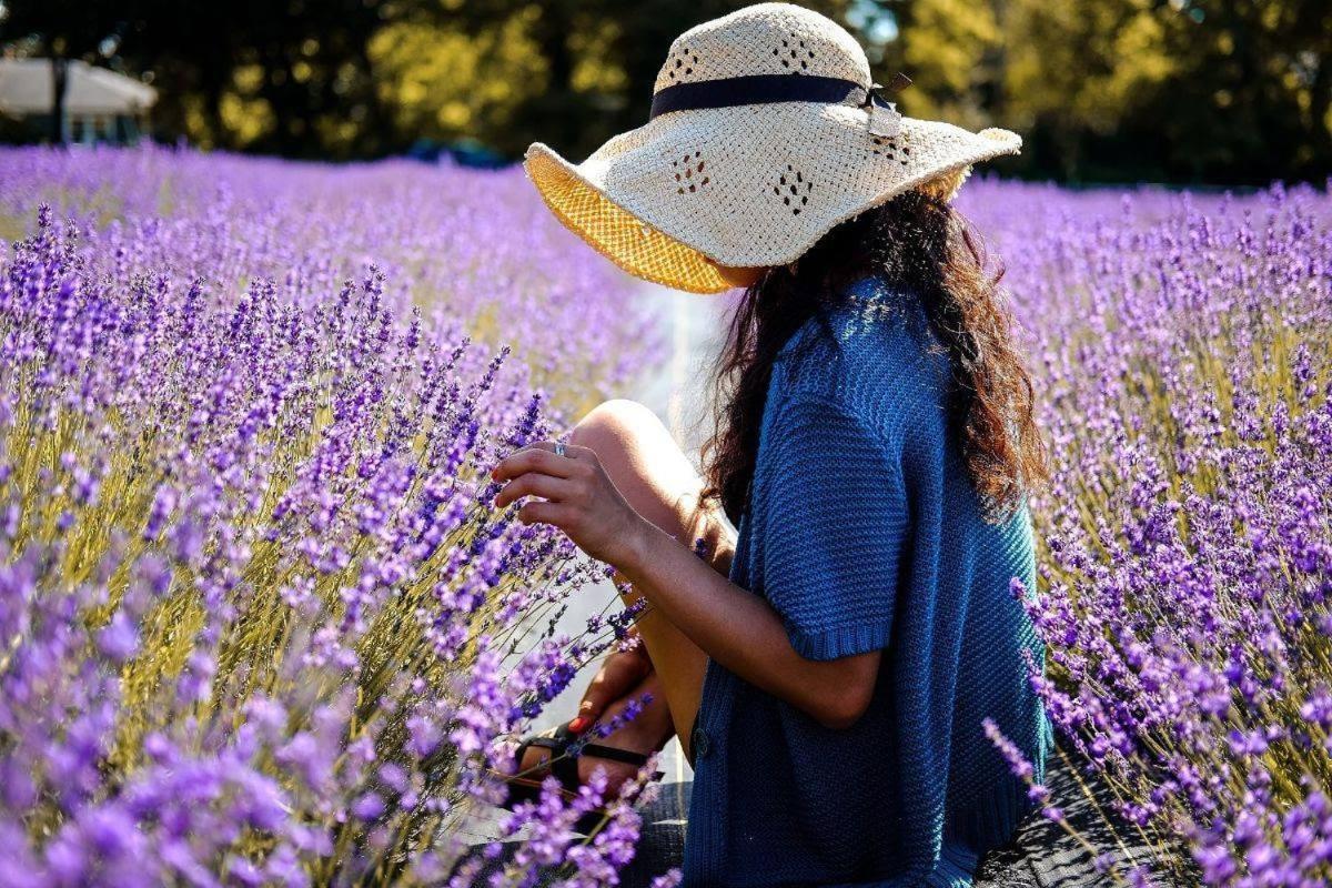L'Oustaou du Luberon et SPA Villelaure Extérieur photo