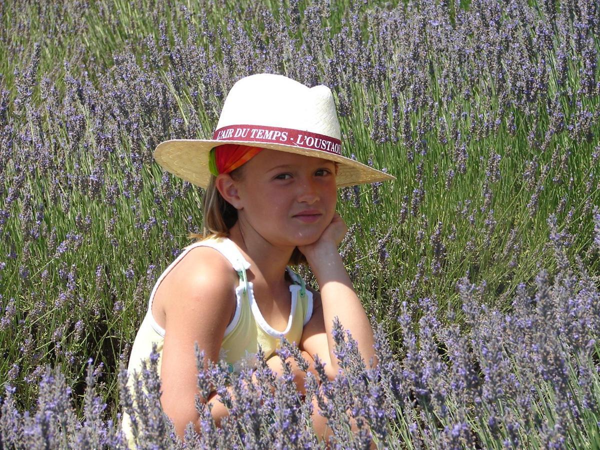 L'Oustaou du Luberon et SPA Villelaure Extérieur photo